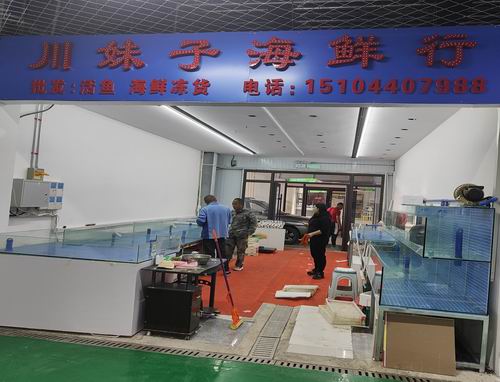 微信图片_20241017130748.jpg 微信图片_20241017130748.jpg