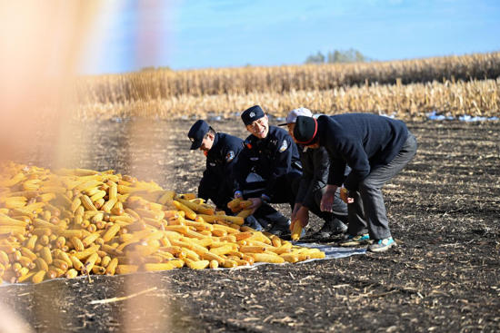 ScreenShot_2025-10-30_075132_772.jpg ScreenShot_2025-10-30_075132_772.jpg